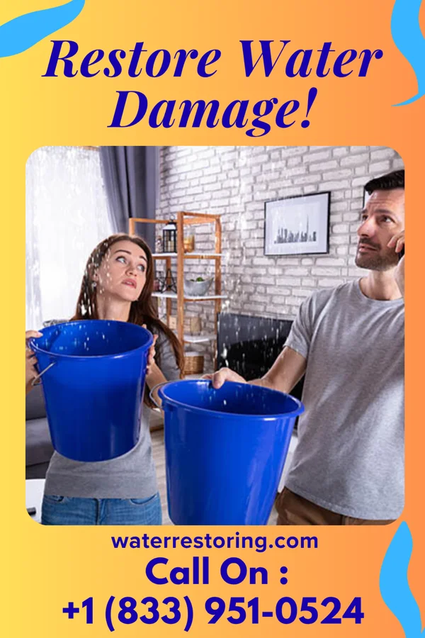 water restoration New Storm Damage Experts Delphi