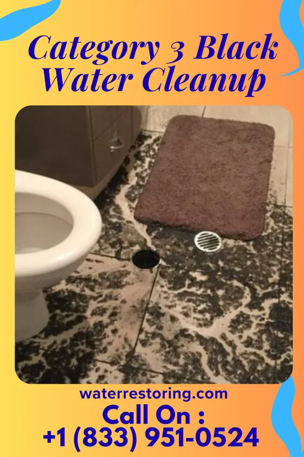 Category 3 Black Water Cleanup in Delphi, IN