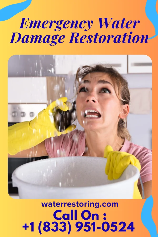 Emergency Water Damage Restoration in Delphi, IN