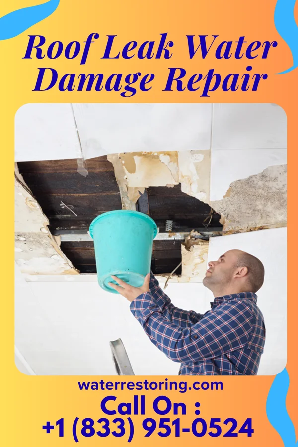 Roof Leak Water Damage Repair in Delphi, IN