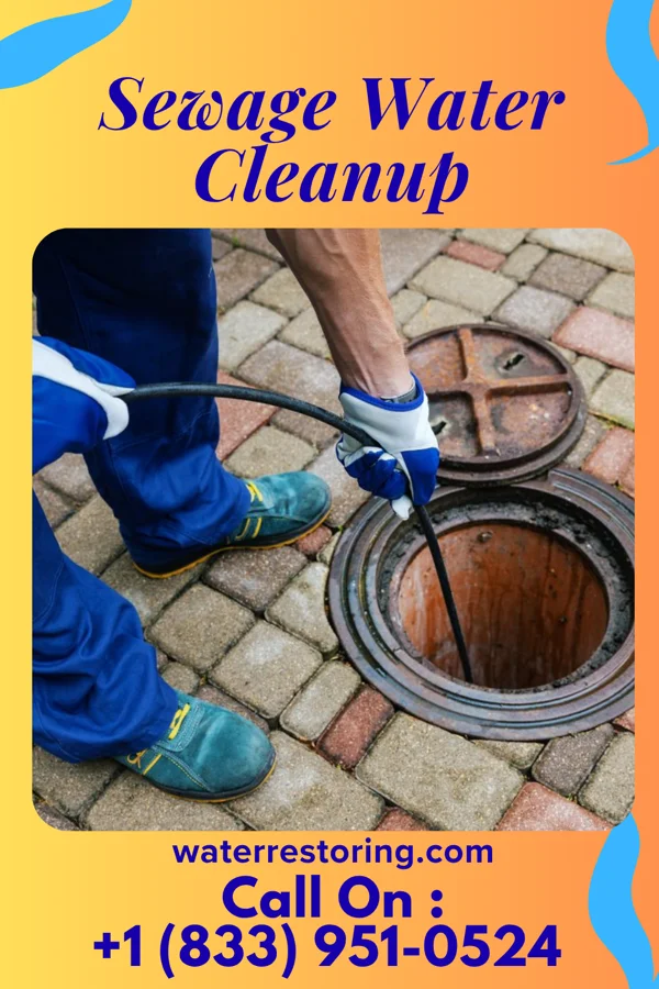Sewage Water Cleanup in Delphi, IN